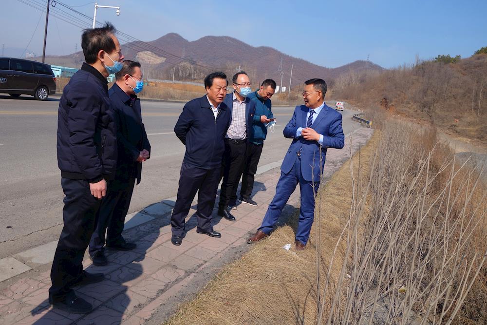 李景玉调研三抓三促工作