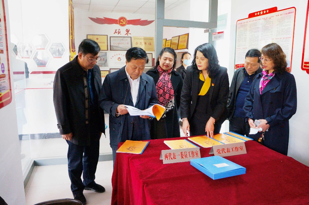 市人大常委会主任李景玉赴高新区调研人大工作