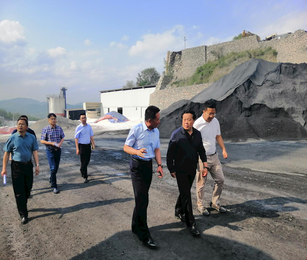 落实生态立市战略 推动绿色矿山建设  ——市人大常委会组织视察绿色矿山建设情况