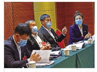 人大代表分组审议政府工作报告、审查“十四五”规划和二〇三五年远景目标纲要（草案）、计划报告和预算报告