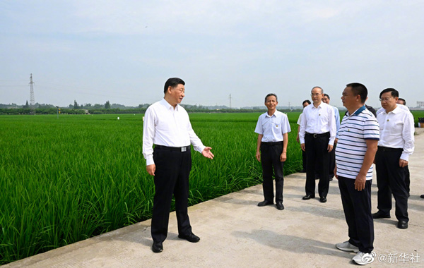 习近平在四川眉山市考察调研